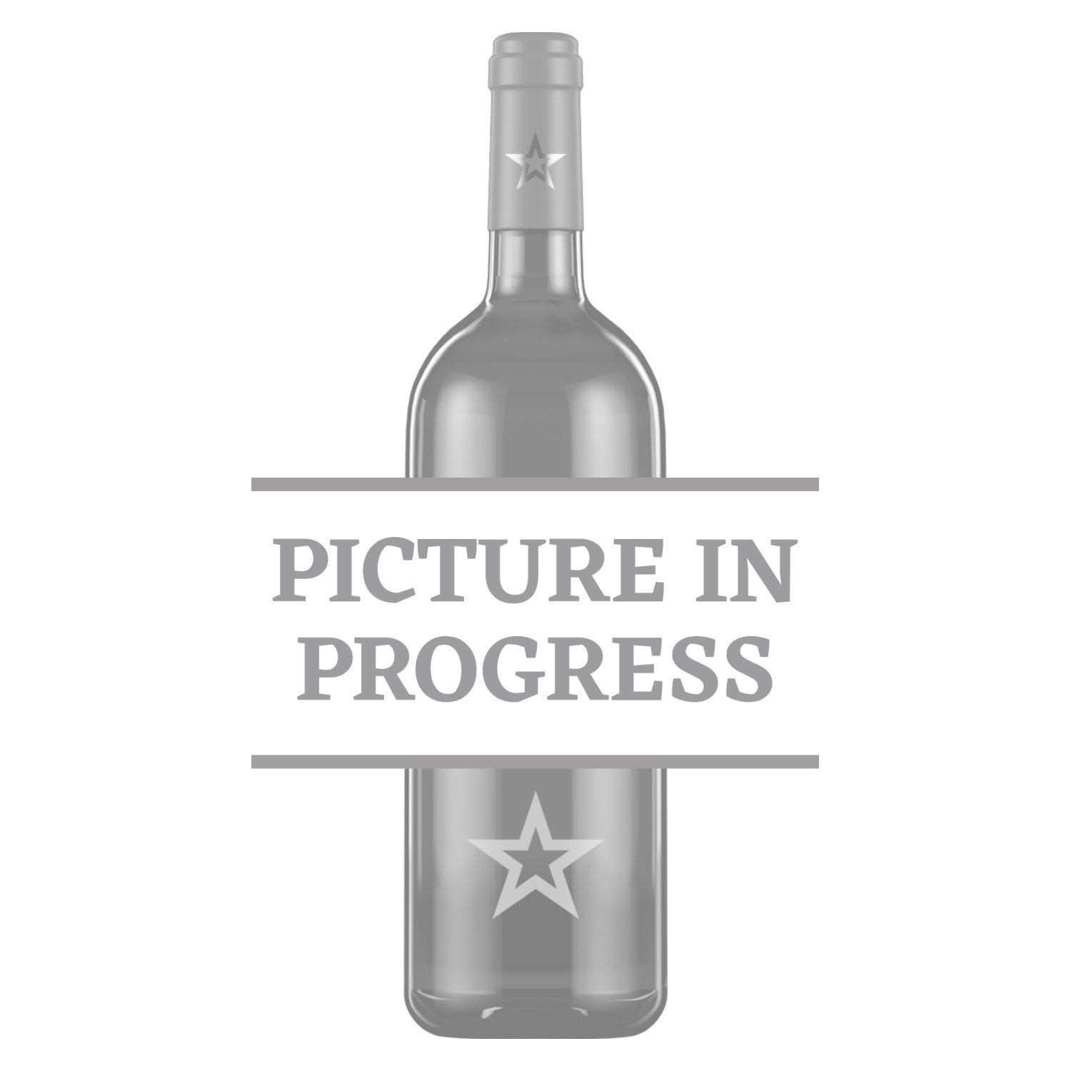 Bloom Strawberry Gin Liqueur 25 Vol. 0,7l Wholesale